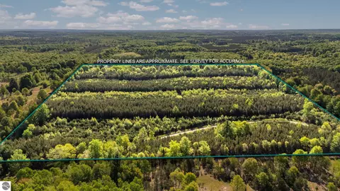 Acreage-40 Cedar Creek Road, Fife Lake, MI 49633