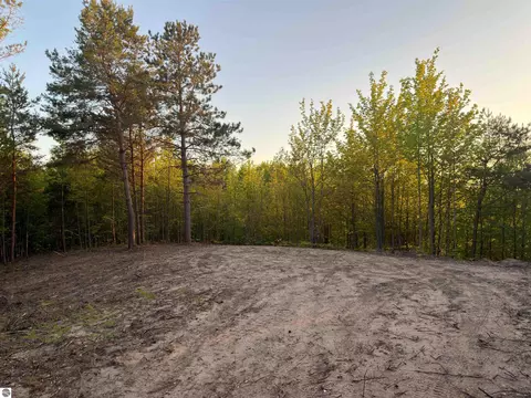 3779 Scholl Rd, Mancelona, MI 49659