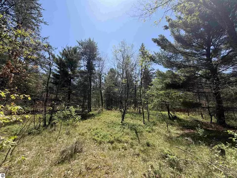 Us-10, Idlewild, MI 49642