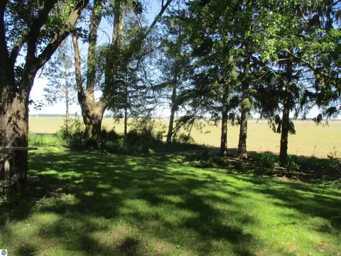 Exterior - 621 Wright St, Breckenridge, MI 48615 photo 10 of 15