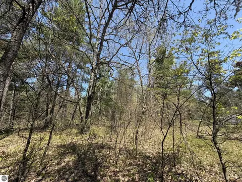 V/l Us-10, Baldwin, MI 49642 photo 3