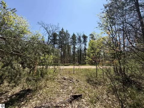 V/l Us-10, Baldwin, MI 49642 photo 6