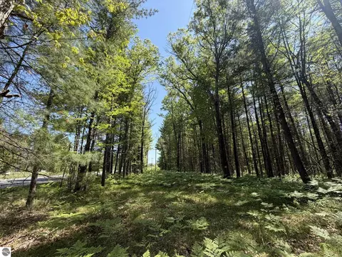 V/l Us-10, Baldwin, MI 49642 photo 5
