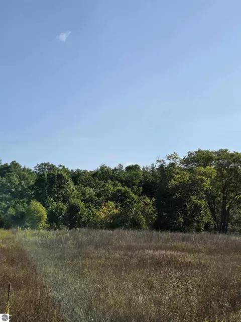 00 Runyan Ln, Hale, MI 48739