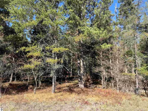 00 E North Down River Rd, Grayling, MI 49738