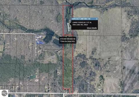 000 Ora Lake Rd, Hale, MI 48739
