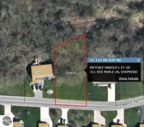 311 Red Maple Ln, Shepherd, MI 48883 photo 5