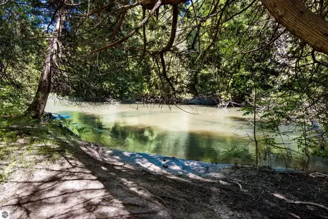 0 Betsie River Ct, Benzonia, MI 49616