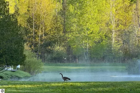 8401 S Sullivan Rd, Cedar, MI 49621
