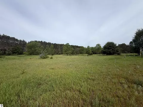 00 Pearl St, Thompsonville, MI 49683
