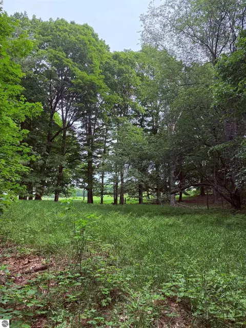 11 Kadi Lane, Lake Ann, MI 49650