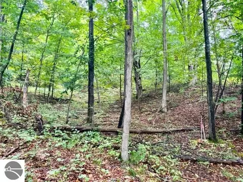 Killdale Avenue, Benzonia, MI 49616