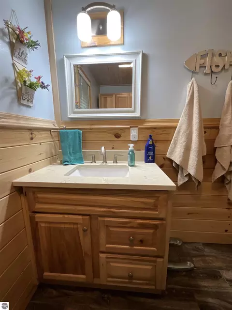 Bath - 4737 Mary E Dr, Hale, MI 48739 photo 2 of 4