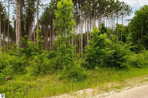 Parcel E Saint Johns Road, Interlochen, MI 49643 photo 13