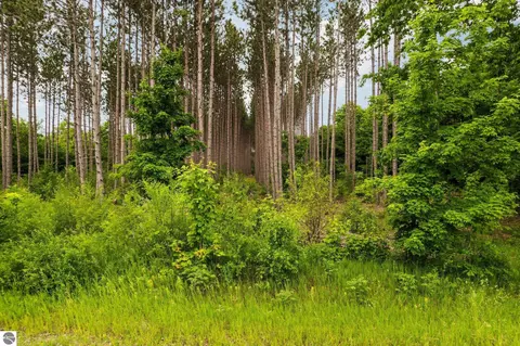 Parcel E Saint Johns Road, Interlochen, MI 49643 photo 12