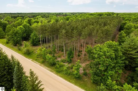 Parcel E Saint Johns Road, Interlochen, MI 49643 photo 17