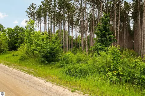 Parcel E Saint Johns Road, Interlochen, MI 49643 photo 11