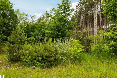 Parcel E Saint Johns Road, Interlochen, MI 49643 photo 8