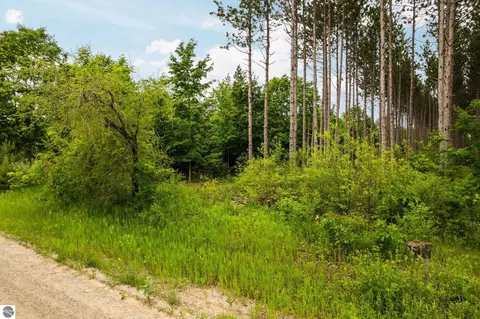 Parcel E Saint Johns Road, Interlochen, MI 49643 photo 14