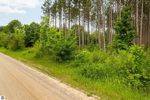 Parcel E Saint Johns Road, Interlochen, MI 49643 photo 10