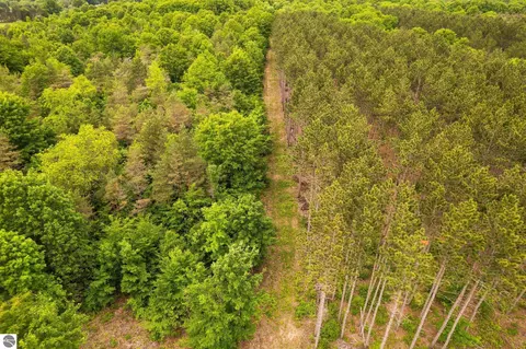 Parcel E Saint Johns Road, Interlochen, MI 49643 photo 39