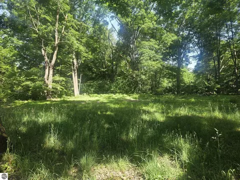 7820 Wilderness Dr, Weidman, MI 48893