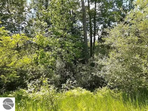 0 E Side Dr, Lupton, MI 48635