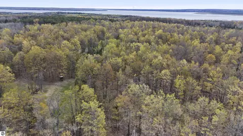 V/l Farrier Road, Hillman, MI 49746