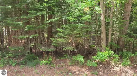 W Batterson Road, Frederic, MI 49733 photo 2
