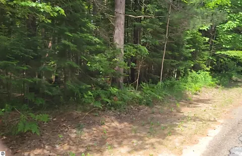 W Batterson Road, Frederic, MI 49733 photo 3