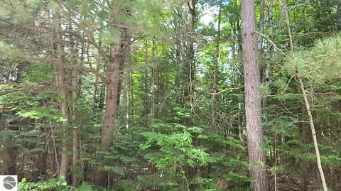 W Batterson Road, Frederic, MI 49733 photo 6