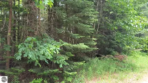 W Batterson Road, Frederic, MI 49733 photo 5