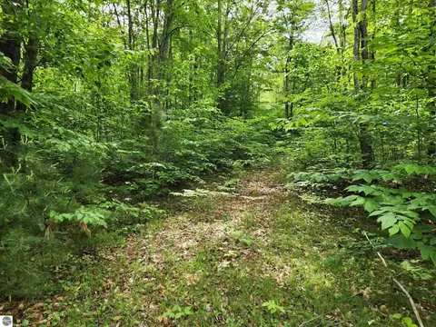 10 Acres Blue Lake Rd NE, Kalkaska, MI 49646
