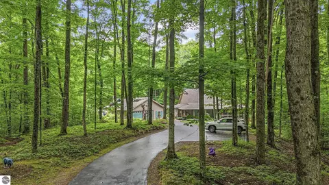 5610 Woodland Ct, Bellaire, MI 49615