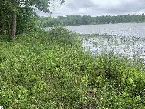 00 Wildwood Ct, Evart, MI 49631