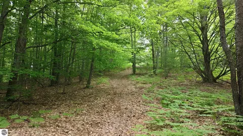 3982 SE Mitchell Rd, Kalkaska, MI 49646