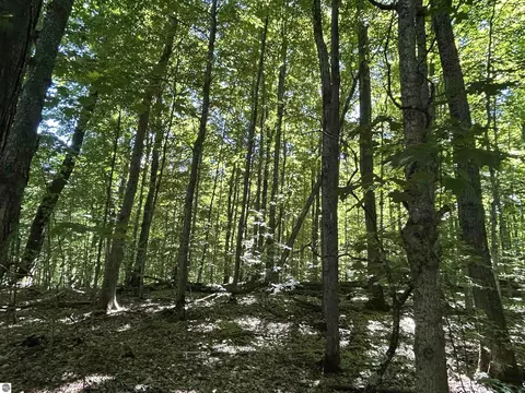 lot129 Troon S, Bellaire, MI 49615