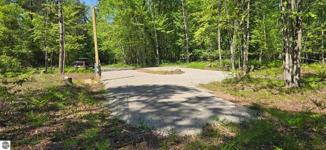 0 Thomas St, Prescott, MI 48756
