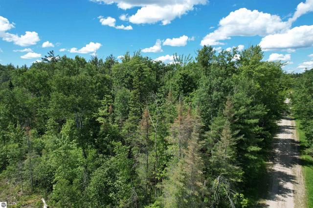 3936 S Deadstream Rd, Houghton Lake, MI 48629