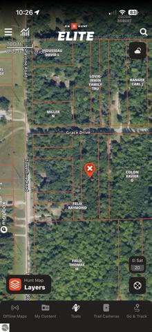 6461 Grace Dr, Hale, MI 48739