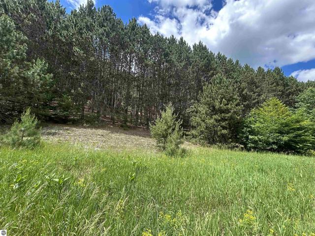 Parcel 6 Wildwood Trail, Mancelona, MI 49659