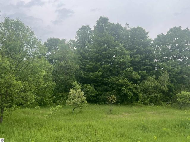 00 Wood Rd NE, Kalkaska, MI 49646