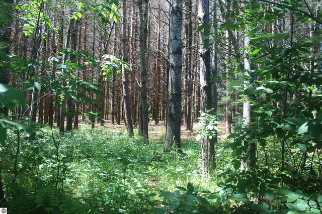 00 Stone Circle Dr, Kewadin, MI 49648