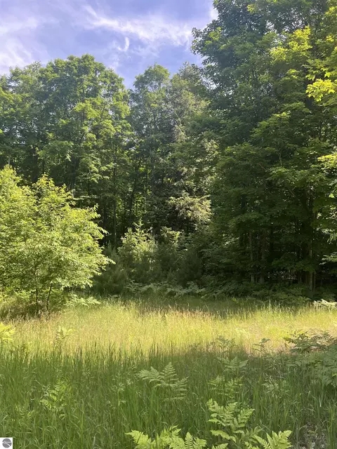 Parcel H O'dell Road, Williamsburg, MI 49690