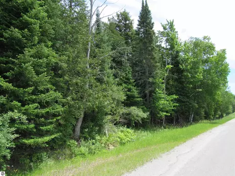 0 N Poor Farm Rd, Harrisville, MI 48740