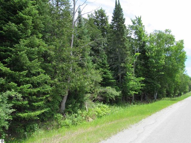 0 N Poor Farm Rd, Harrisville, MI 48740