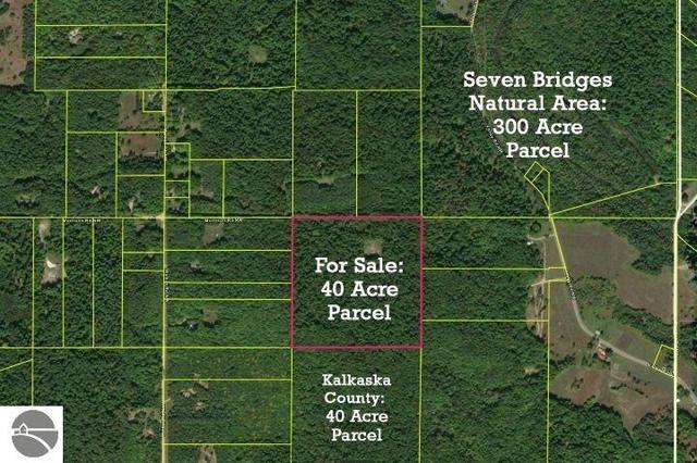 NW Morrison Road, Rapid City, MI 49676