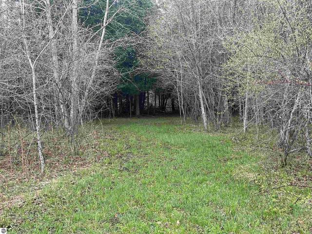 0 Wallen Rd, Thompsonville, MI 49643