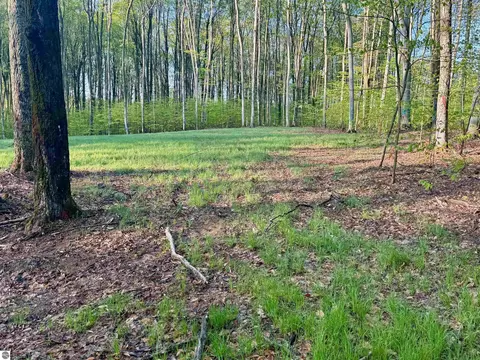 02 S Bright Rd, Maple City, MI 49664 photo 6