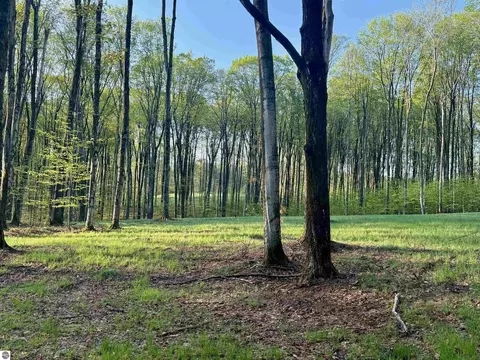 02 S Bright Rd, Maple City, MI 49664 photo 7